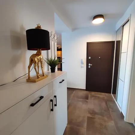 Luxury Penthouse Apartment