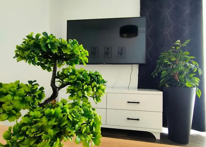Appartement Luxury Penthouse Pula